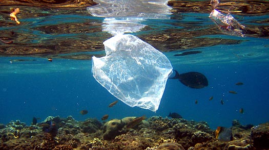 Plásticos no oceano