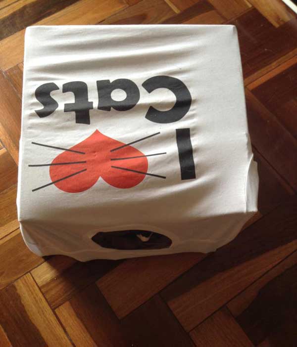 Casinha de gato feita com caixa e camisa velha|Fonte: Tudo Interessante