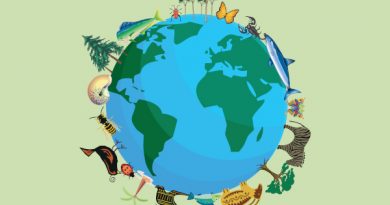 [SMAVV] Dia Mundial do meio ambiente, uma reflexão desanimada e a biodiversidade