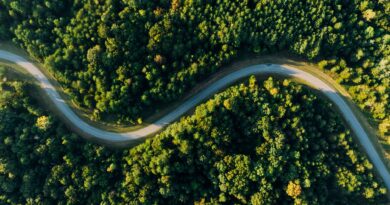 aerial photo of empty meandering road in between forest
