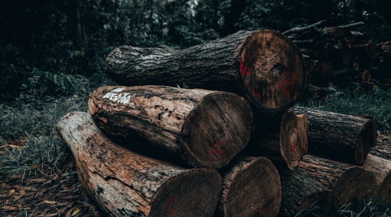 photo of brown wood logs